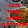 Gratis verzending op alle complete hengel sets.