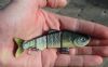 Realistisch kunstaas: Swimbait Pike Visitor 2 - aanbieding 