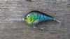 kunstaas: Belly Rattle Shad Blue Tiger van €5,95 voor 3,60 !